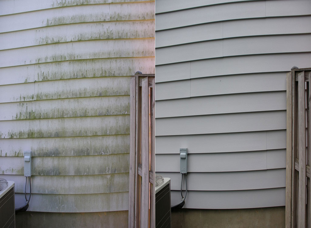 Before and after image of siding cleaning