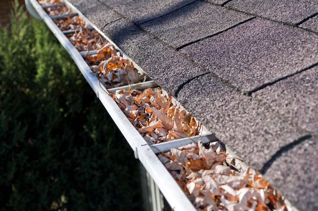 Image of dirty gutter filled with leaves and debris