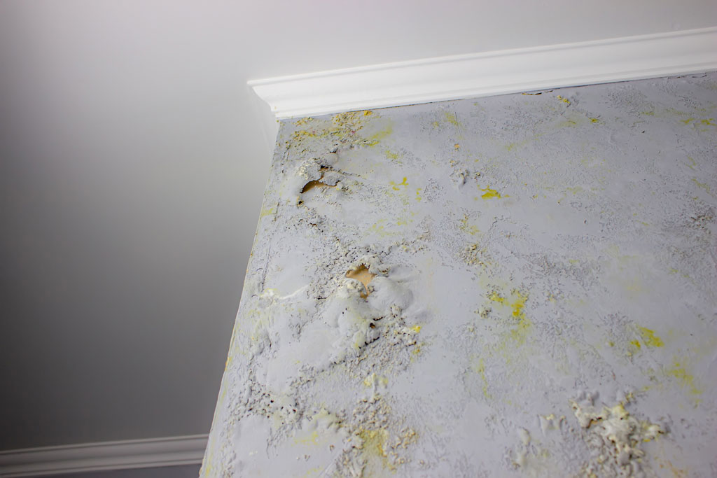 Interior image of a home wall with water damage in which mold has grown