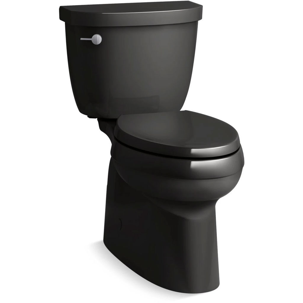 bathroom-design-black-two-piece-toilet